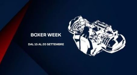 Boxer Week Lista (2)